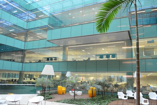 green palm tree near white table and chairs