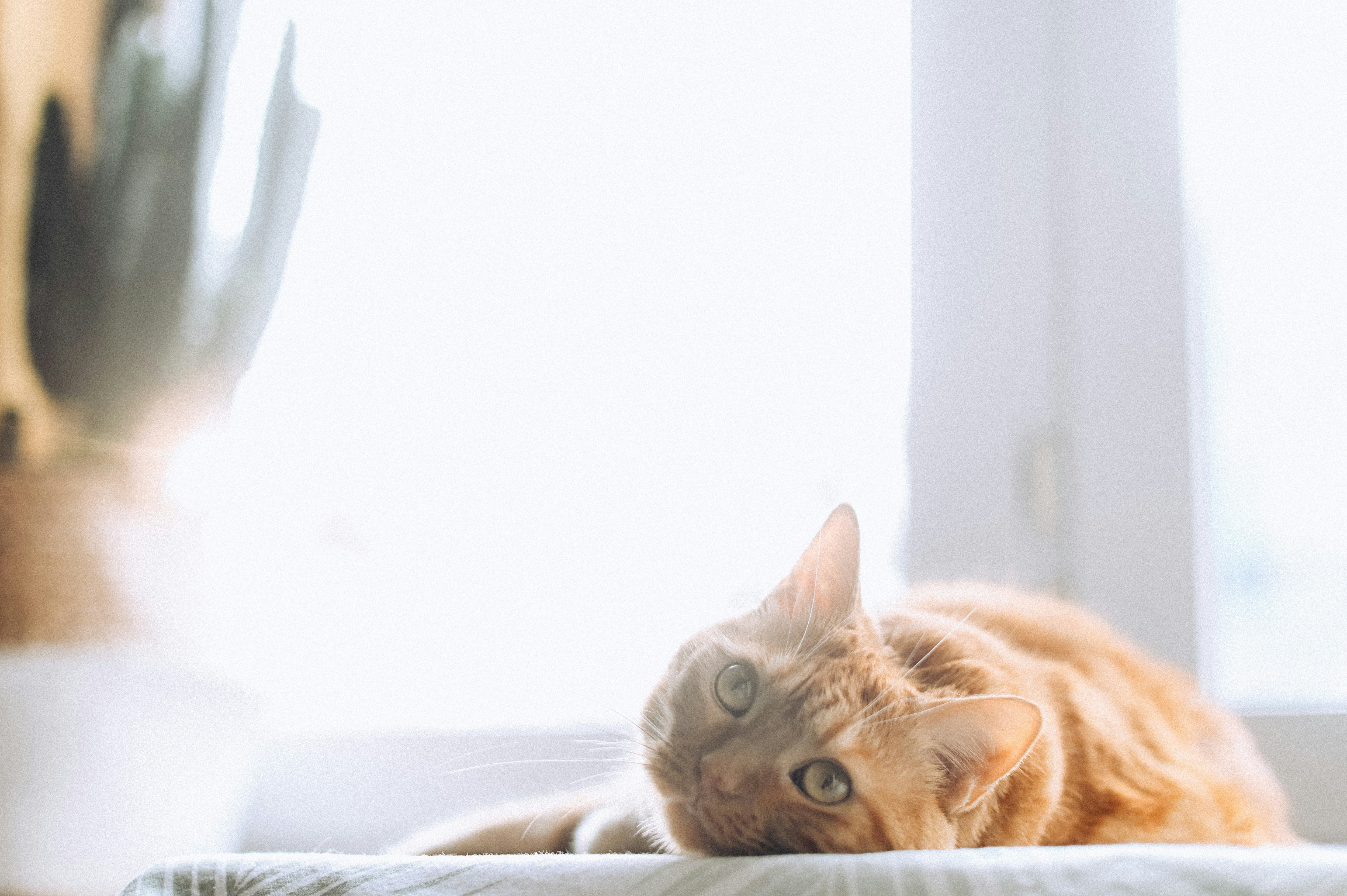 Photo by gaellemarcel