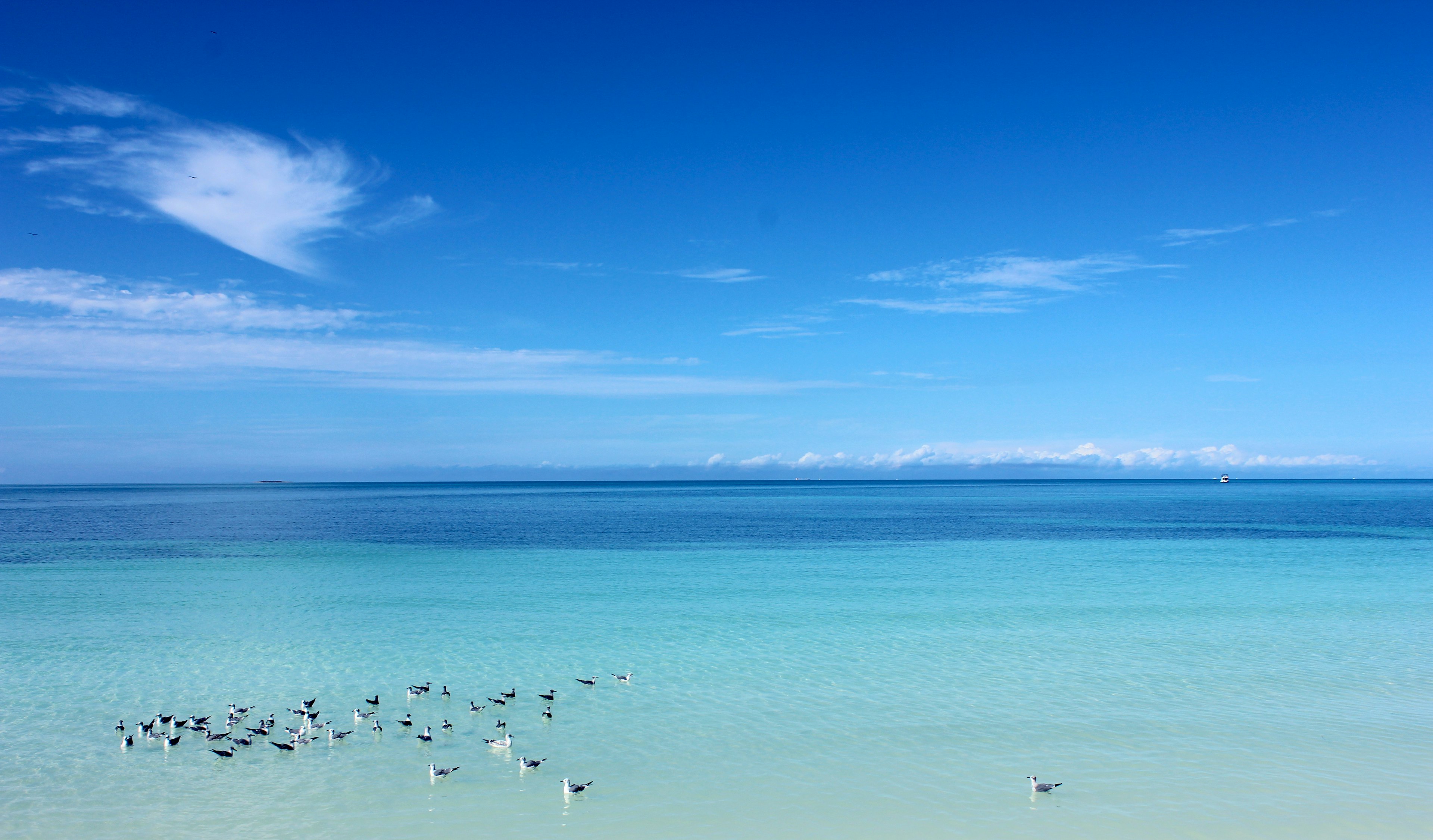 la spiaggia di varadero a cuba, una delle più belle del mondo