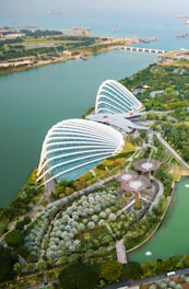 aerial view of city buildings and green trees during daytime