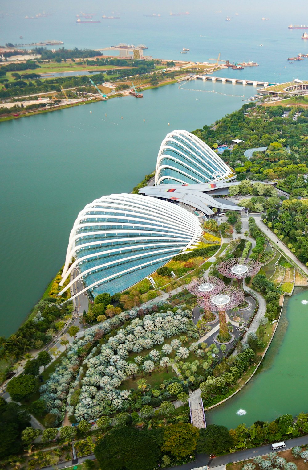 aerial view of city buildings and green trees during daytime