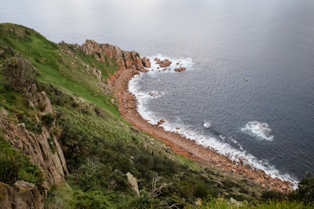 green grass field near body of water during daytime