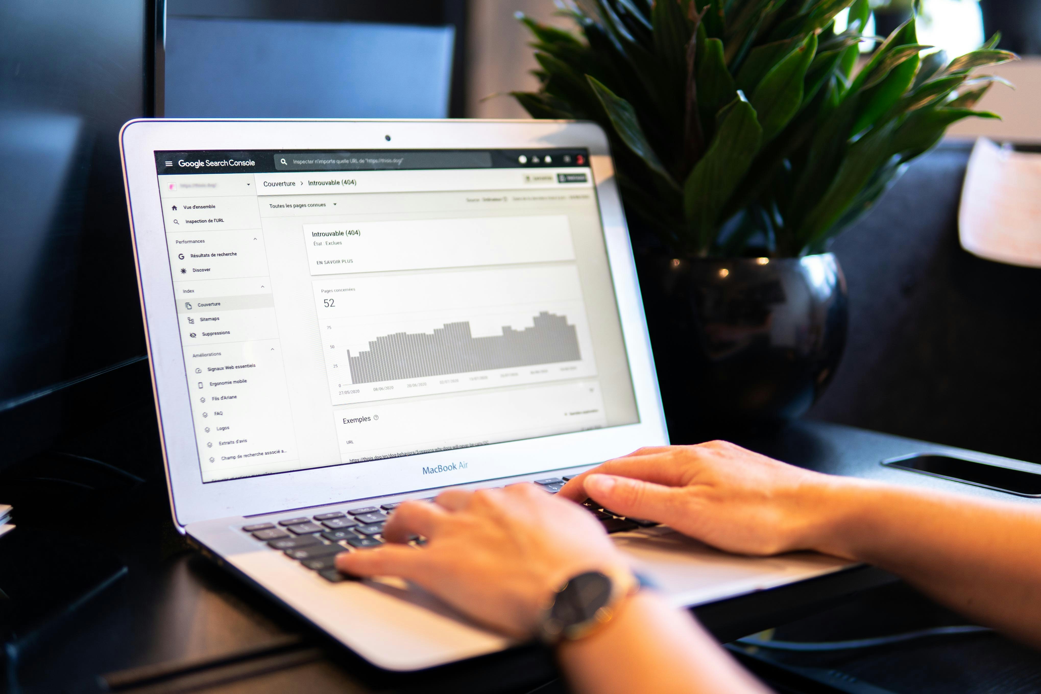 website SEO analysis