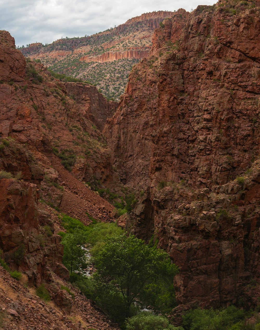 Ponte rosso sulla montagna rocciosa marrone durante il giorno