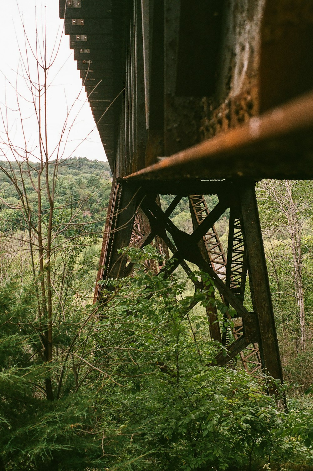 brown wooden bridge over green trees during daytime