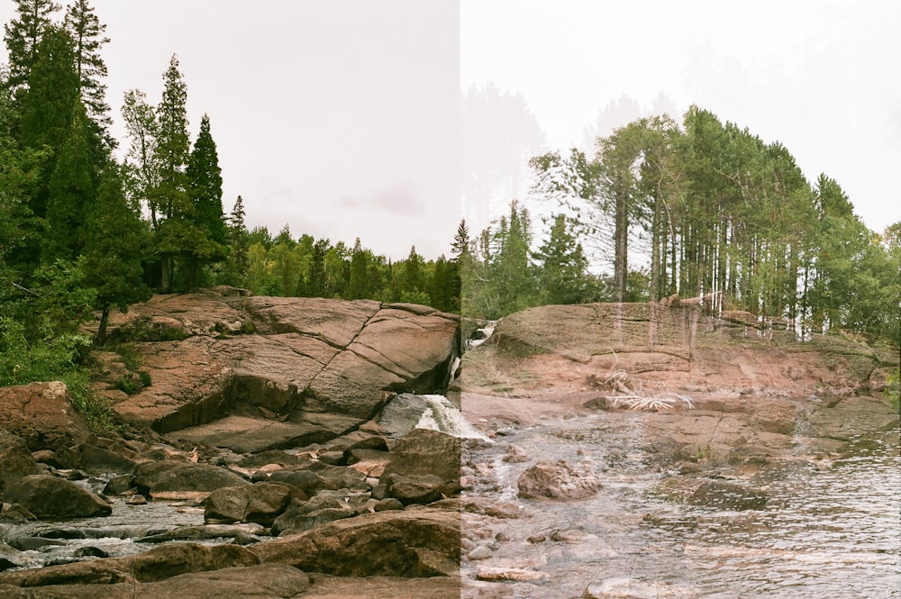 green trees on brown rock formation during daytime