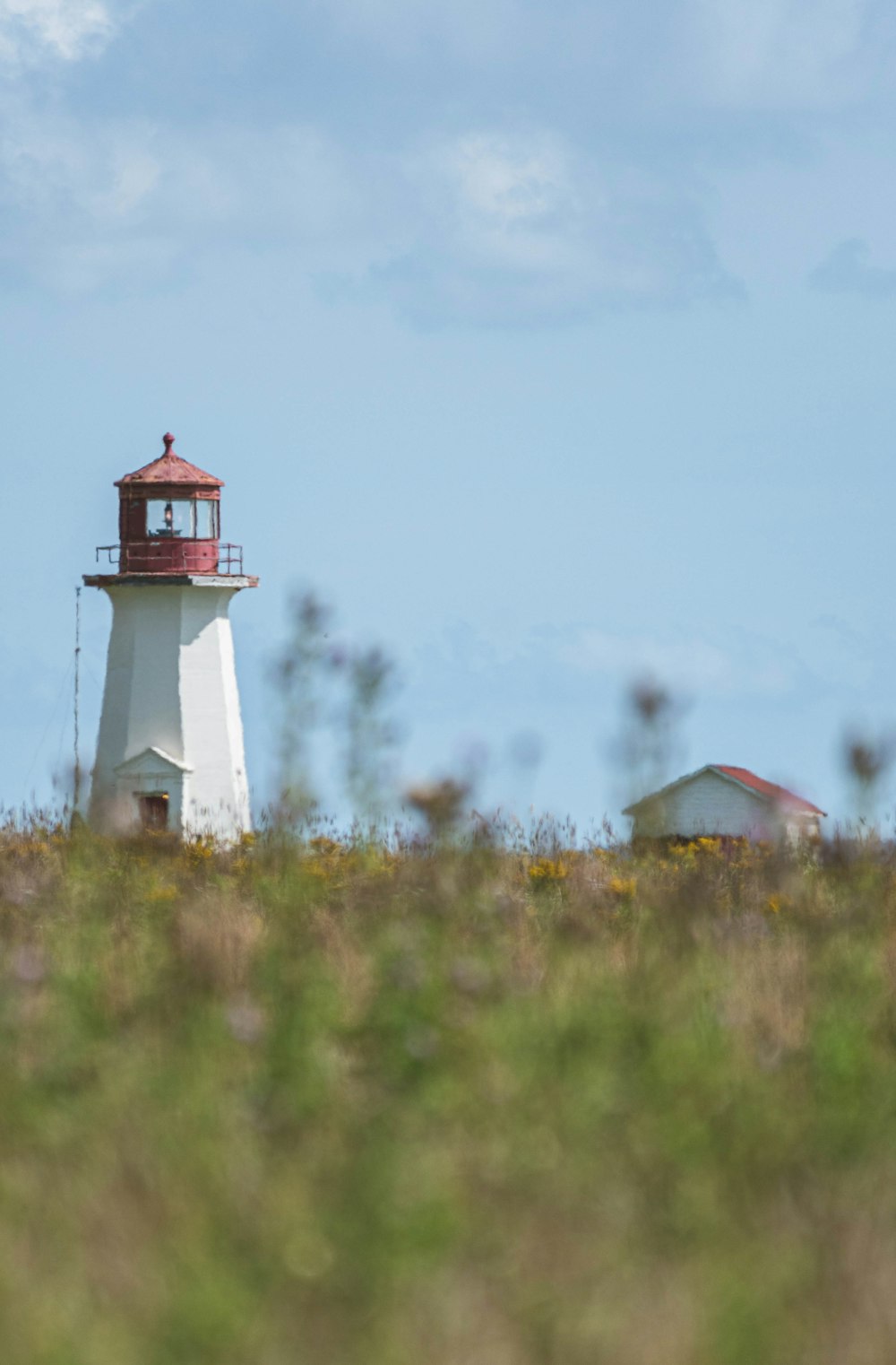 white and red lighthouse on green grass field under white sky during daytime