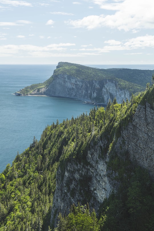 green and gray mountain beside blue sea during daytime in Forillon National Park Canada