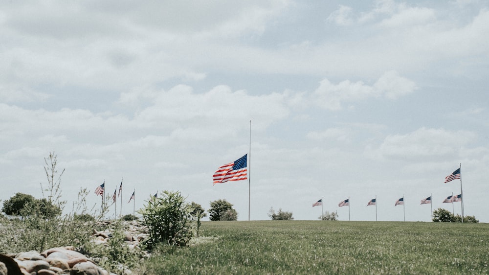 flags on green grass field under white cloudy sky during daytime