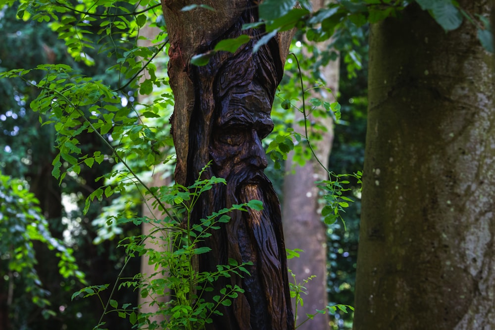 brown tree trunk with green leaves