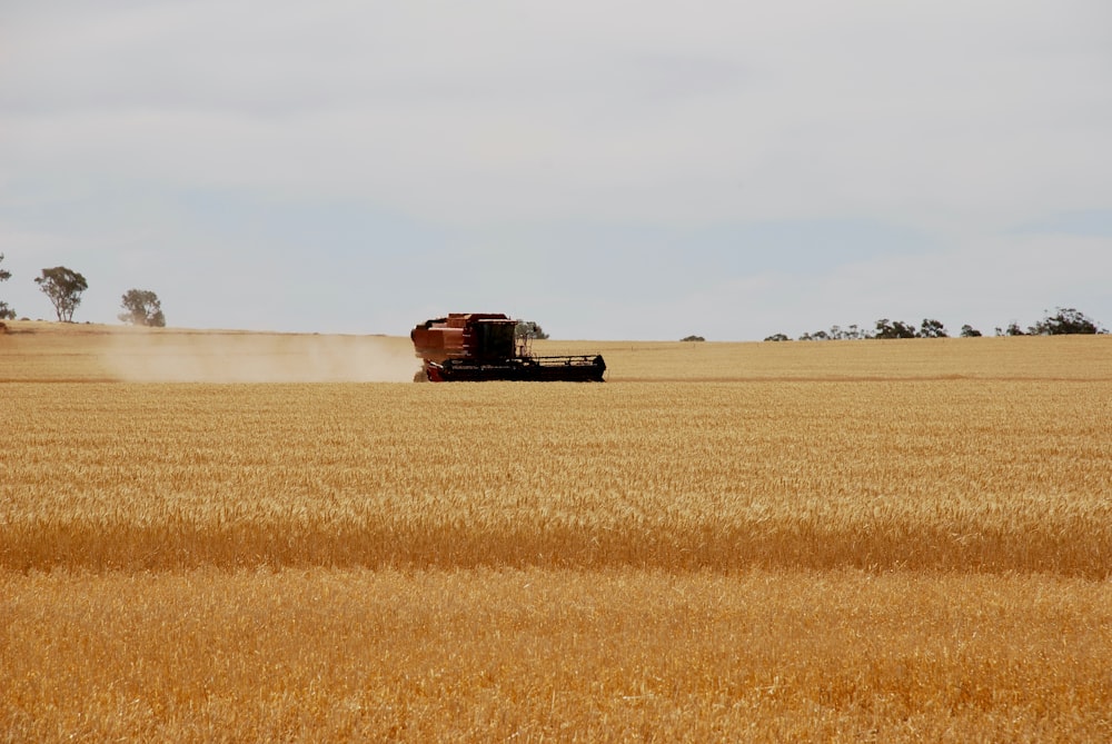 brown truck on brown field during daytime