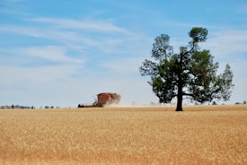 Photo 1600475133396 1665e837d7c5?q=85&w=275&h=275&fit=crop