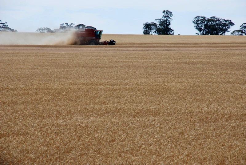 Australia Will Fast-Track Some Working Holiday Visas for Urgent Farm Jobs