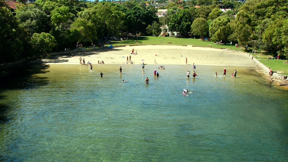 people on beach during daytime