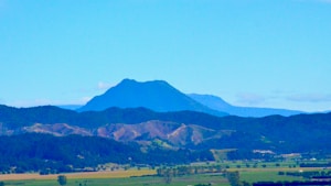 Land Plot