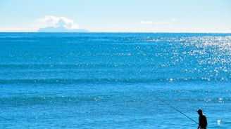 blue sea under blue sky during daytime