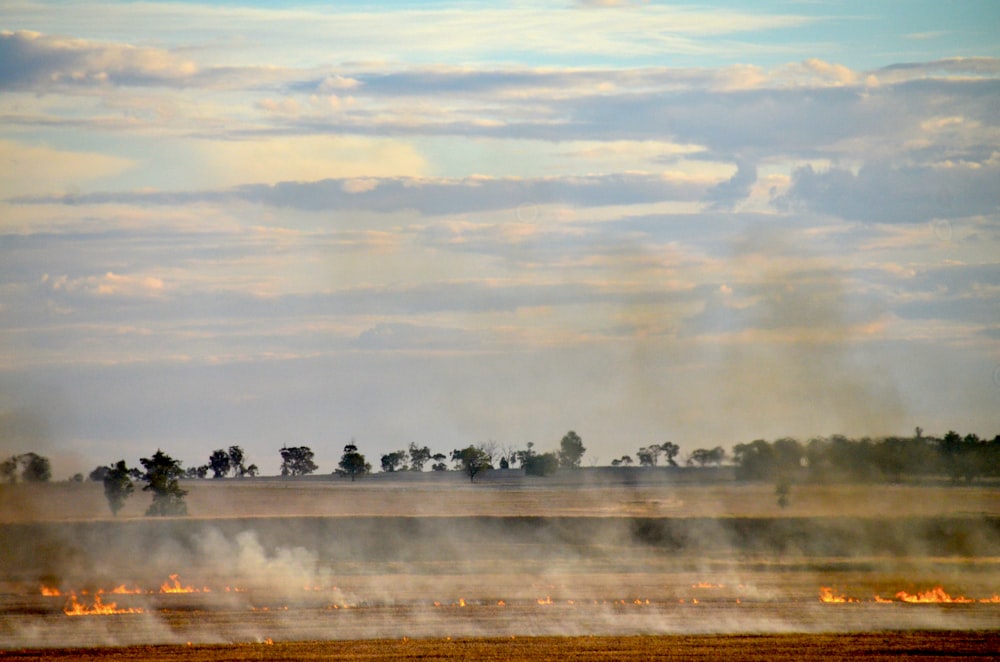 people on a field with a view of a foggy field