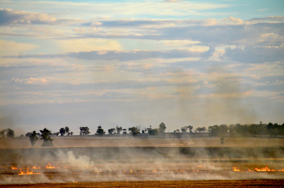 people on a field with a view of a foggy field,