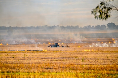 Workers operating equipment during a weed abatement project on a rural property.