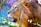 A majestic lion with a full, lush mane gazes intently into the distance. The sunlight highlights the golden hues of the lion's fur and mane, creating a striking contrast with the shadows. The background is blurred, hinting at a natural setting with hints of green foliage.