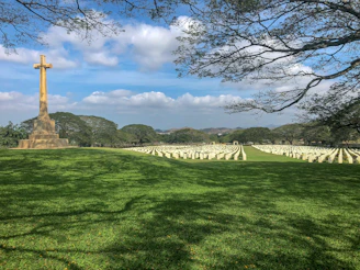 A large cemetery with rows of white headstones neatly arranged on a vast green lawn. A prominent stone cross stands to the left, with distant hills and a blue sky in the background. Leafless branches frame the image from the top.