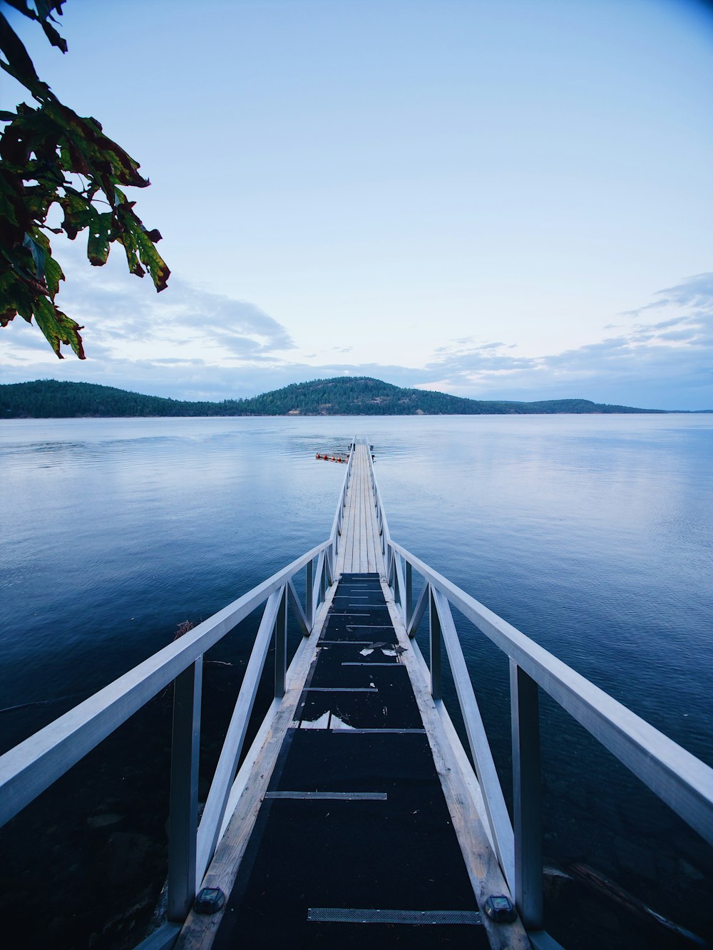 white wooden dock on body of water during daytime