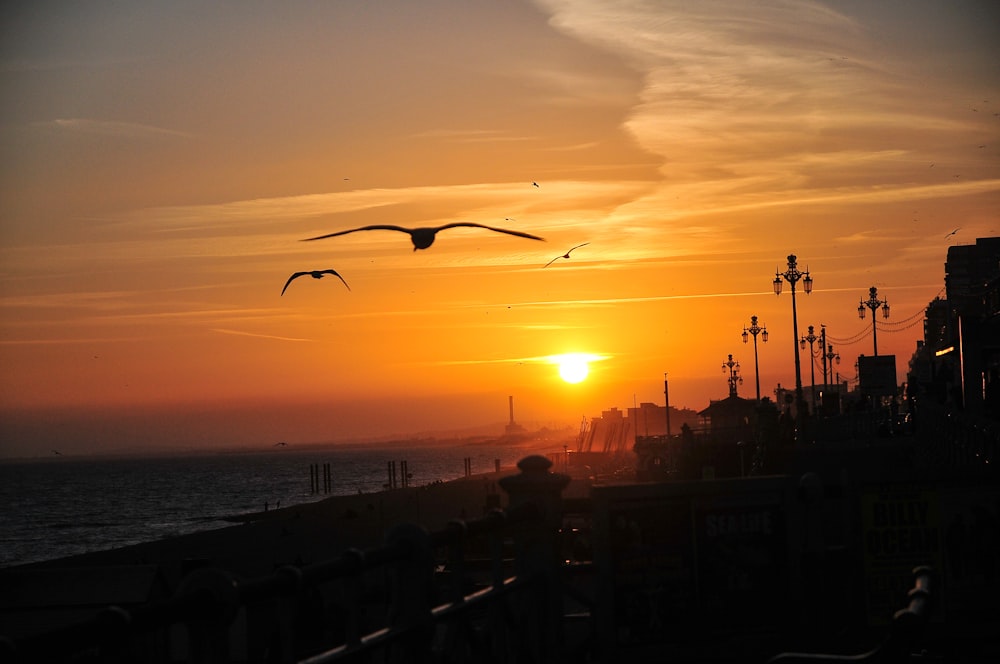 people walking on the beach during sunset