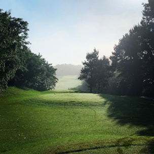 A lush, green golf course with a well-maintained grassy fairway is surrounded by dense trees. The morning light creates a serene atmosphere with a slight mist visible in the distance, enhancing the tranquil environment.