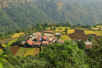 Portrait of Mehul Tadvi engaging with villagers in Naswadi, surrounded by greenery and local homes.