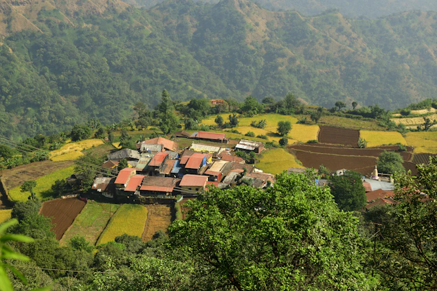 Portrait of Mehul Tadvi engaging with villagers in Naswadi, surrounded by greenery and local homes.