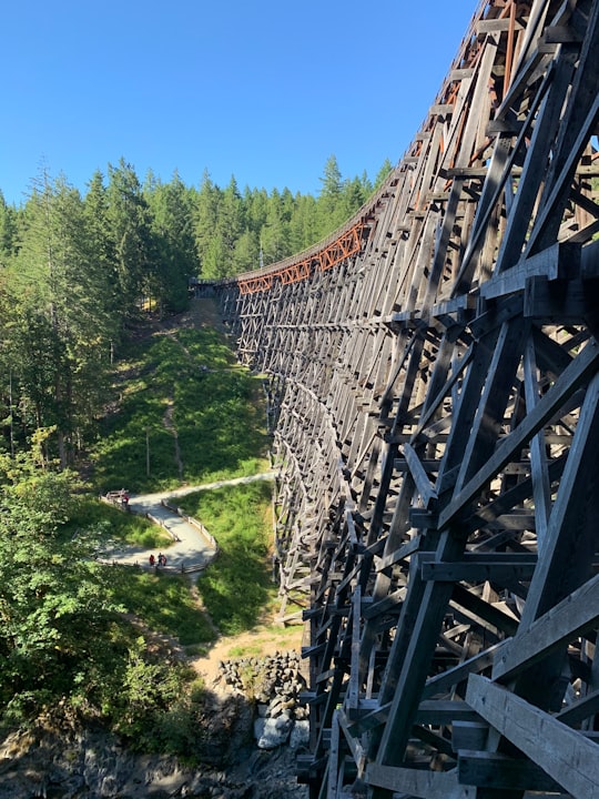 brown wooden bridge over river in Cowichan Lake Canada