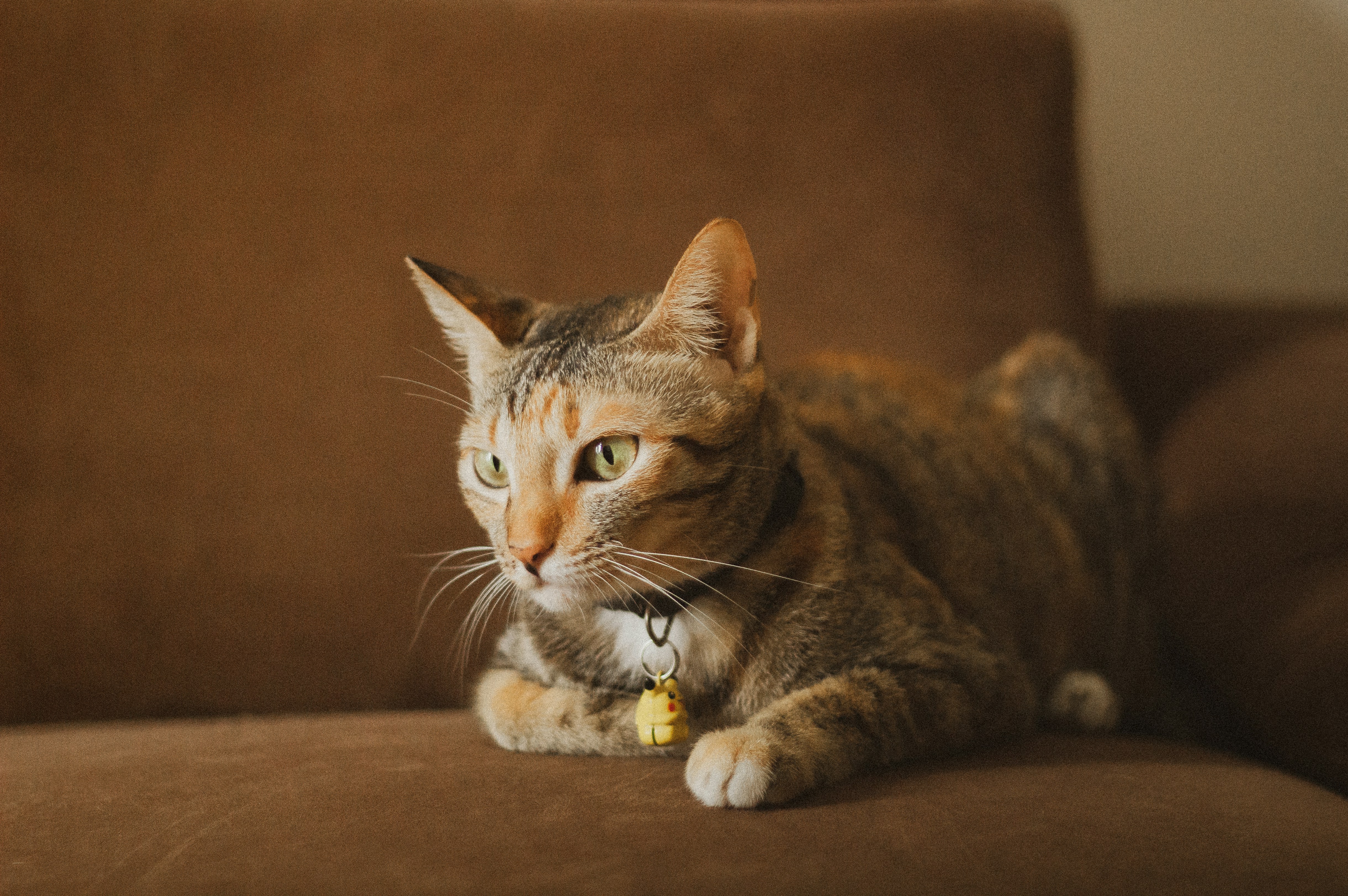 Photo by vcaterpillar