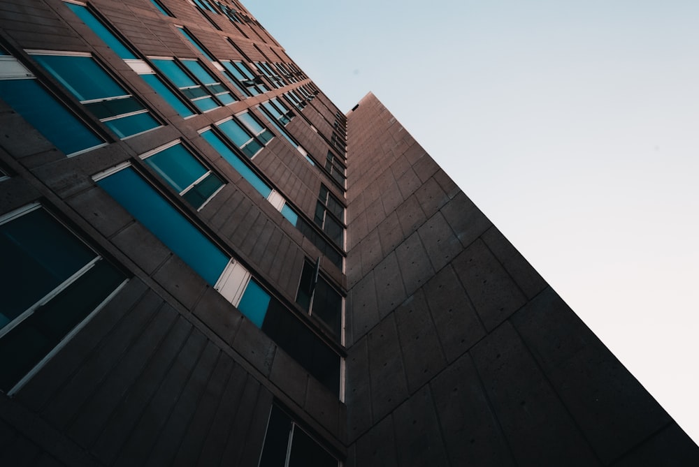 blue and brown concrete building