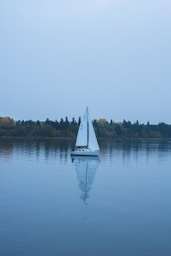 white sailboat on calm water near green trees during daytime