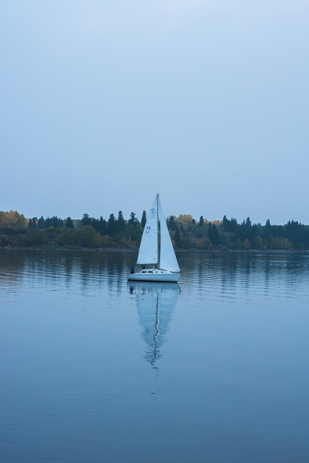 white sailboat on calm water near green trees during daytime