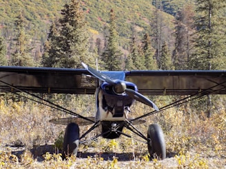 Medical evacuation aircraft landing on a remote airstrip surrounded by forest.