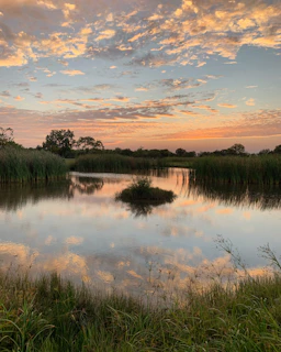 A serene sunset pond scene with warm beige and pastel hues, evoking calm and comfort