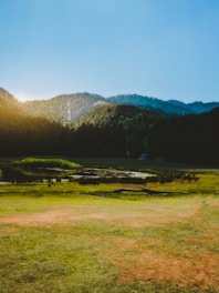green grass field near lake and mountain during daytime