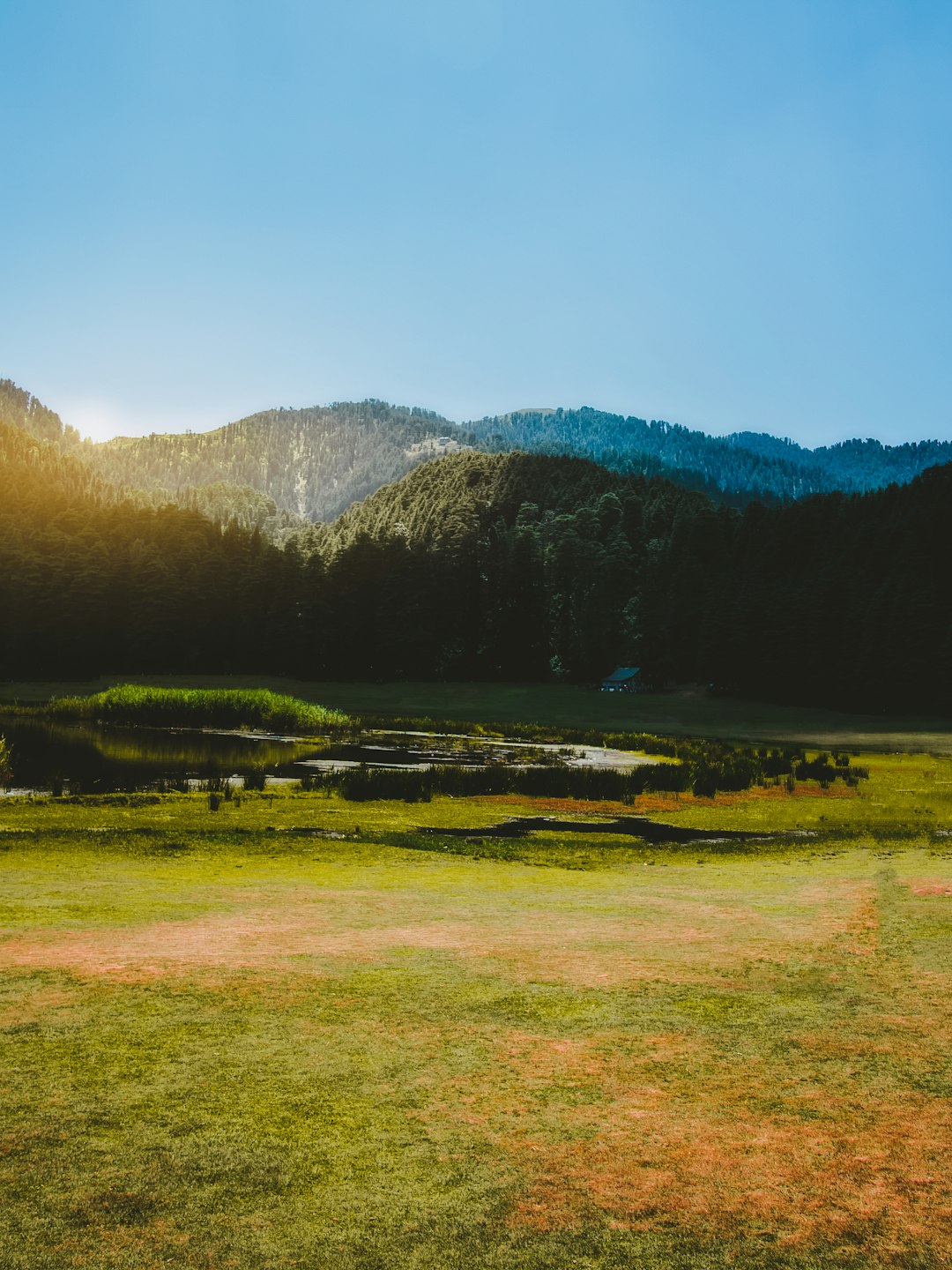 Hill photo spot Khajjiar Himachal Pradesh