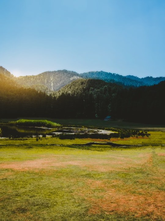 Khajjiar things to do in Dharamshala