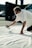 A person wearing sunglasses and a white shirt covers their face while kneeling on the ground, holding a can of spray paint directed at a large white sheet. The person's arms are tattooed, and they are in an outdoor setting with a vehicle and a traffic cone in the background.