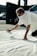 A person wearing sunglasses and a white shirt covers their face while kneeling on the ground, holding a can of spray paint directed at a large white sheet. The person's arms are tattooed, and they are in an outdoor setting with a vehicle and a traffic cone in the background.