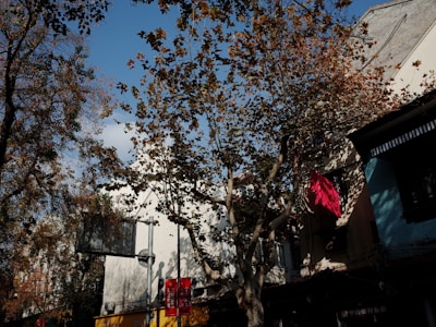 Sunlit street scene featuring layered autumn outfits with rich textures and warm tones.