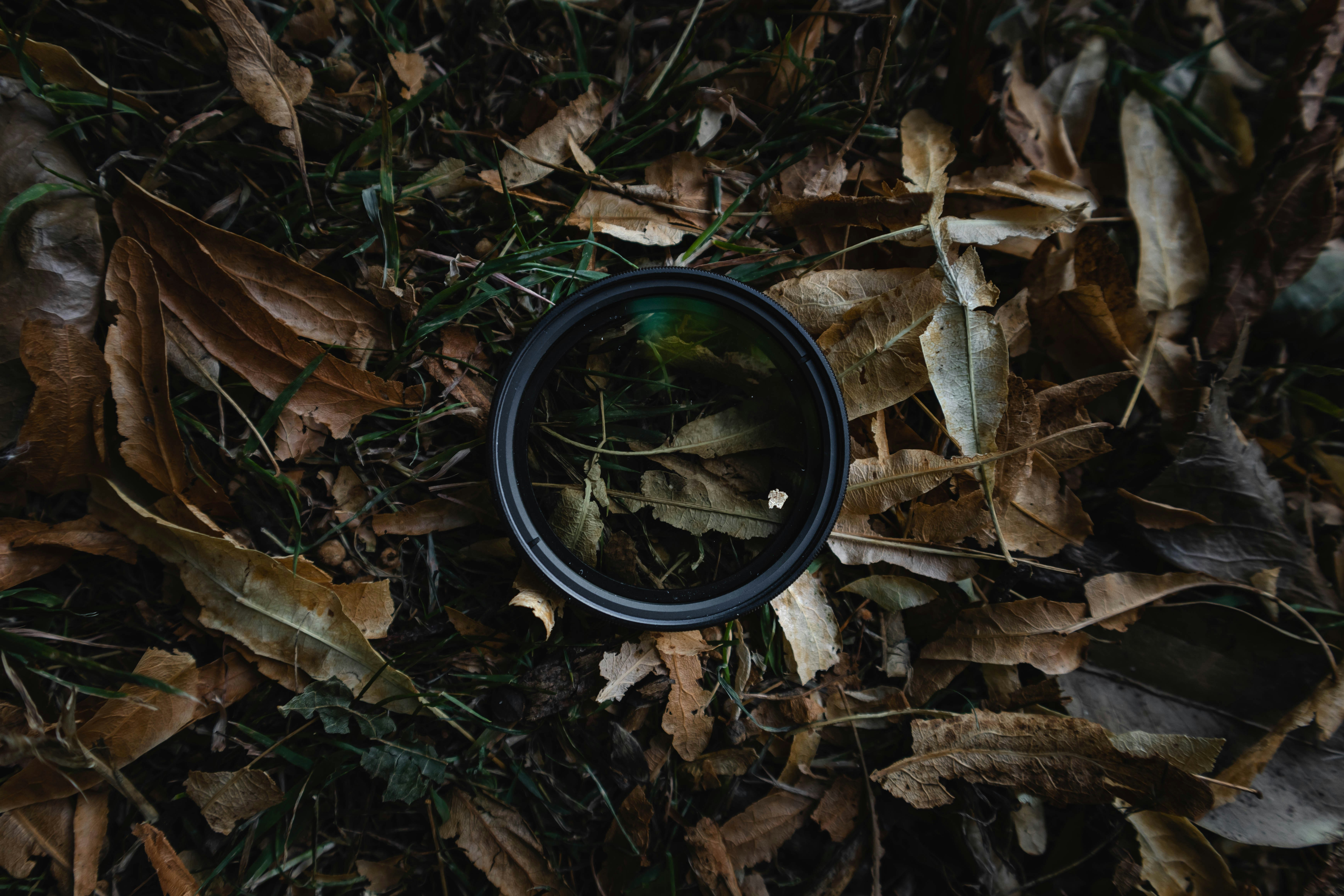 A shot of my Gobe UK ND variable filter amongst the leaves