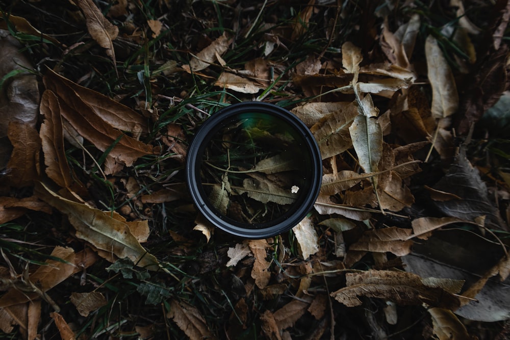 black round frame on dried leaves