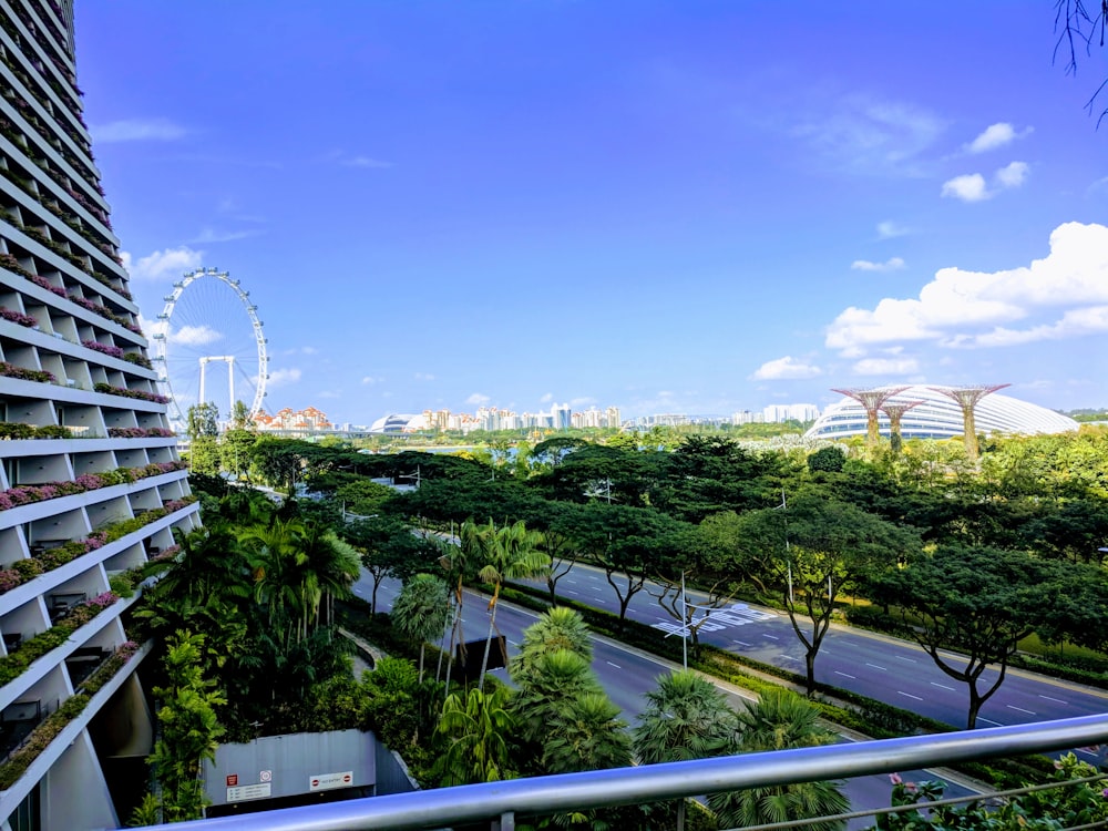 green trees and white ferris wheel under blue sky during daytime