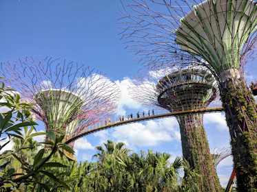 green trees under blue sky during daytime