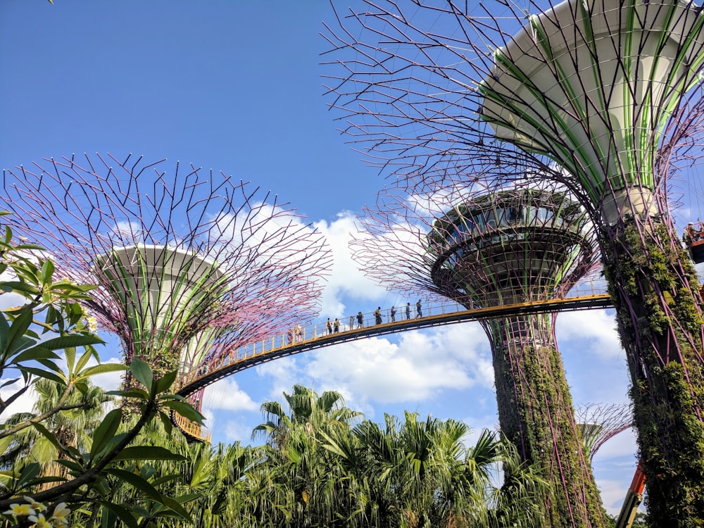 green trees under blue sky during daytime