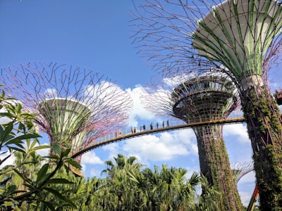 green trees under blue sky during daytime splendid teams background