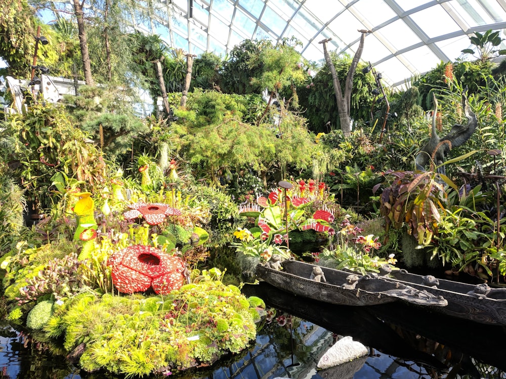Bilder zum Thema Garten An Der Bucht Bucht Ost Kostenlose Bilder auf